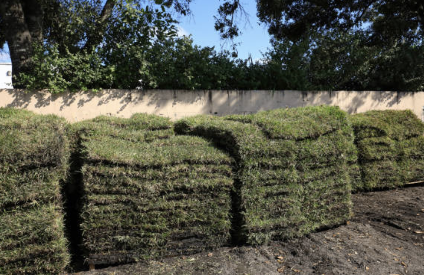 An image of a Sod Installation in Pine Hills FL